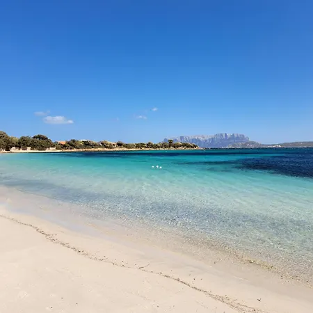 Due Passi Dal Mare - Apartmán *